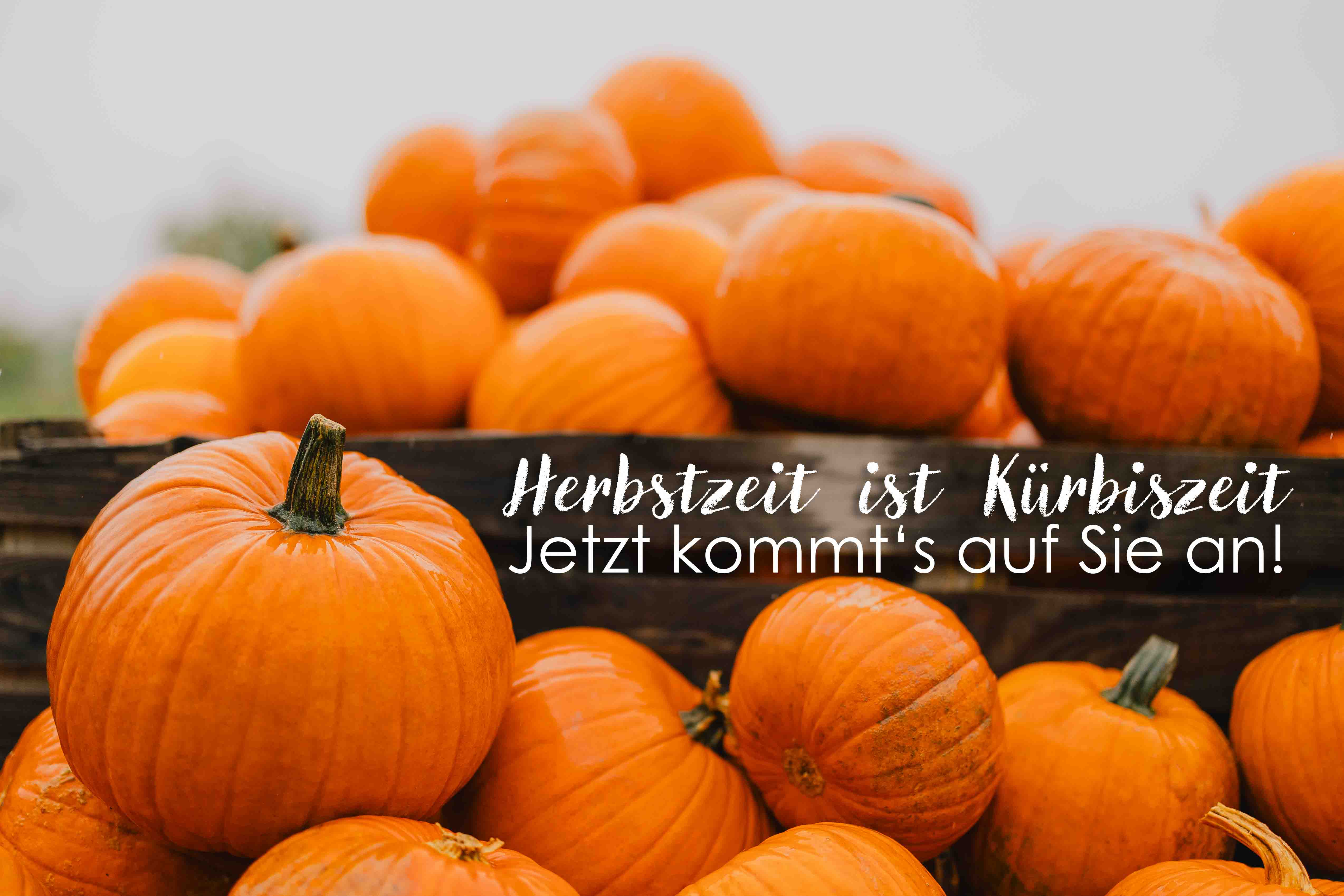 Flaschenbauer lädt ein zur Herbst- und Kürbissaison
