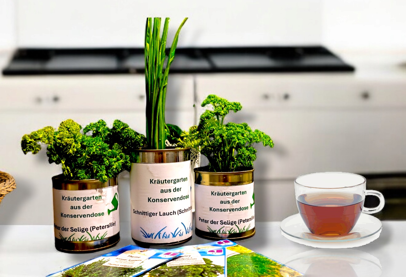 Kräutergarten aus der Konservendose - DIY Ideen